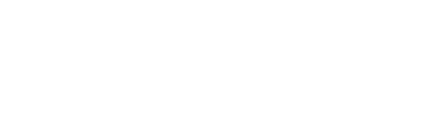 Noa Noa